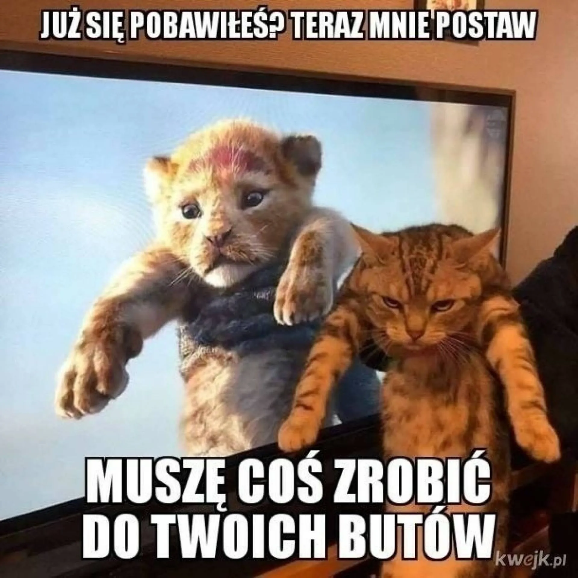Muszę coś zrobić