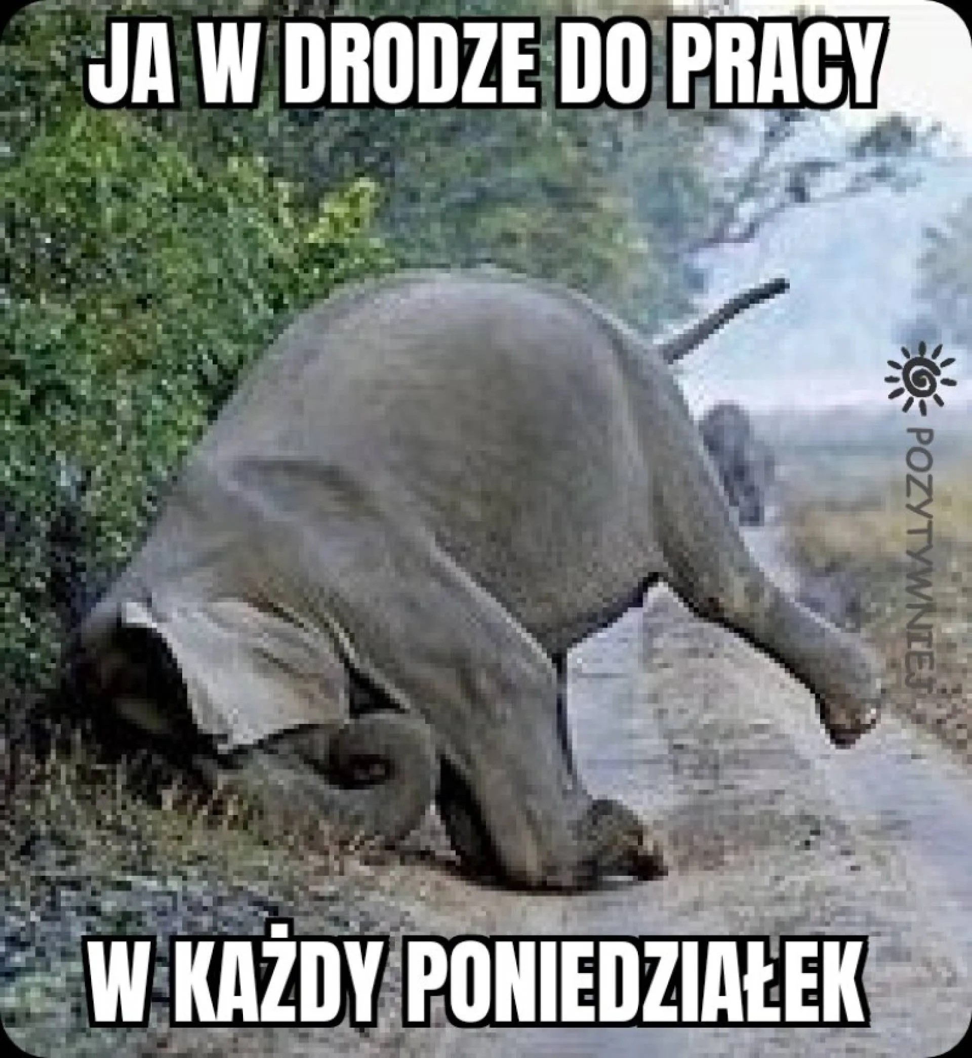 W drodze