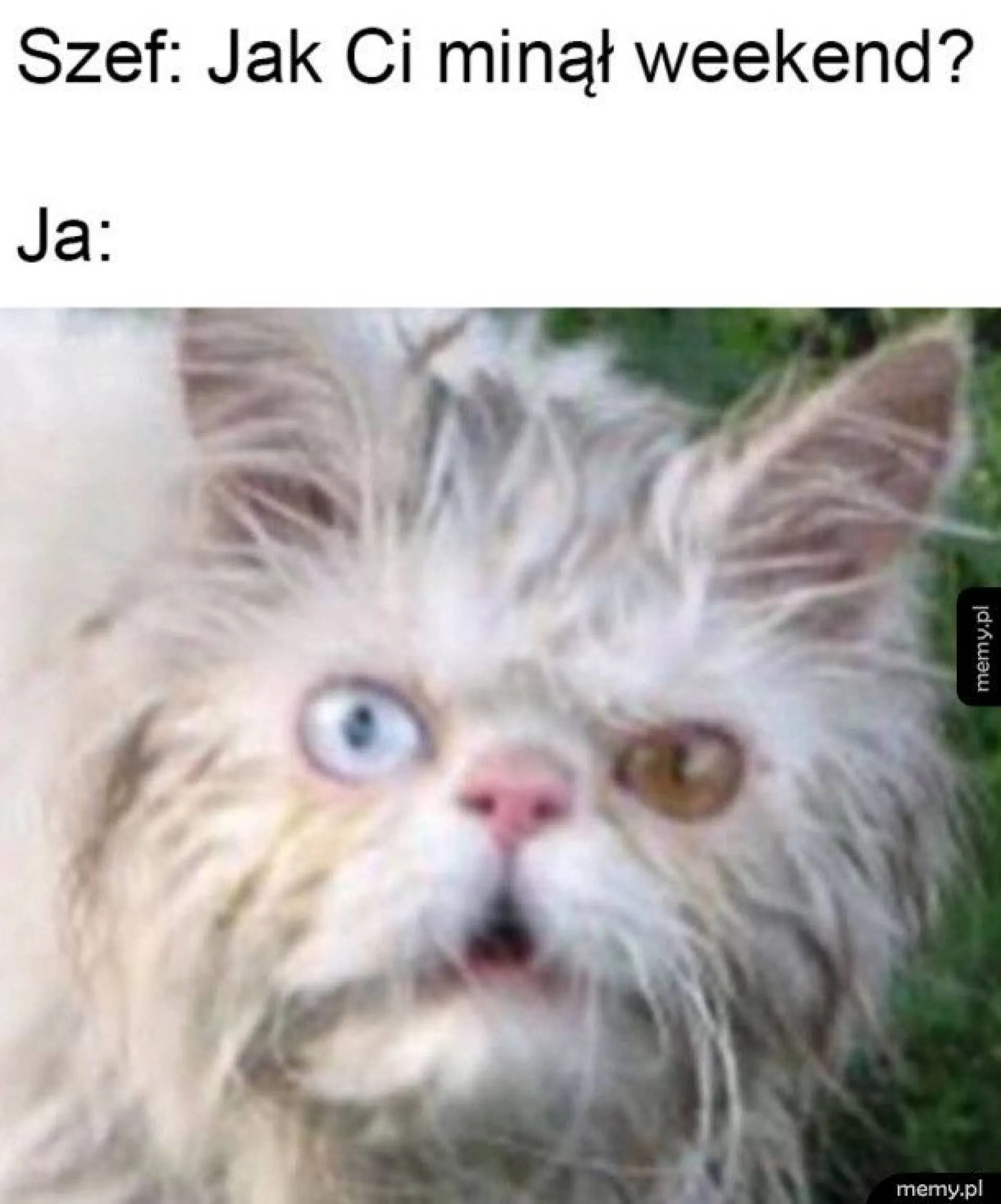 Jak minął?