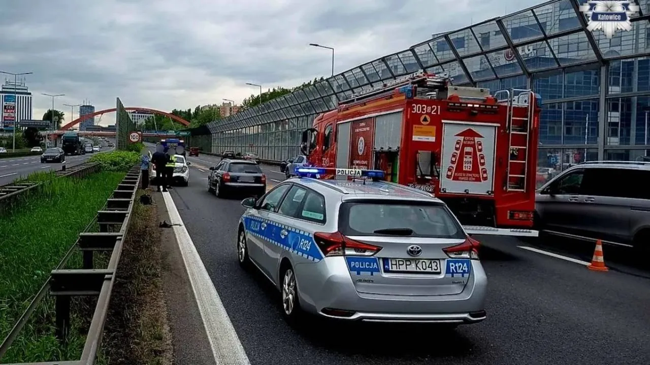Pijana kobieta szła po autostradzie. O włos od tragedii