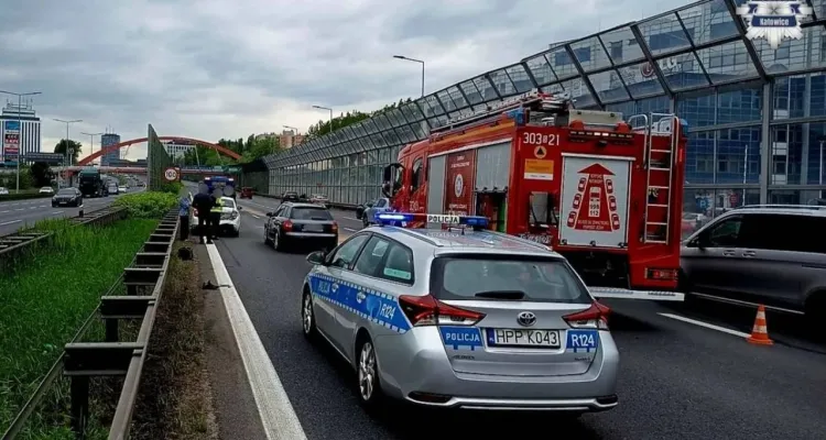 Pijana kobieta szła po autostradzie. O włos od tragedii