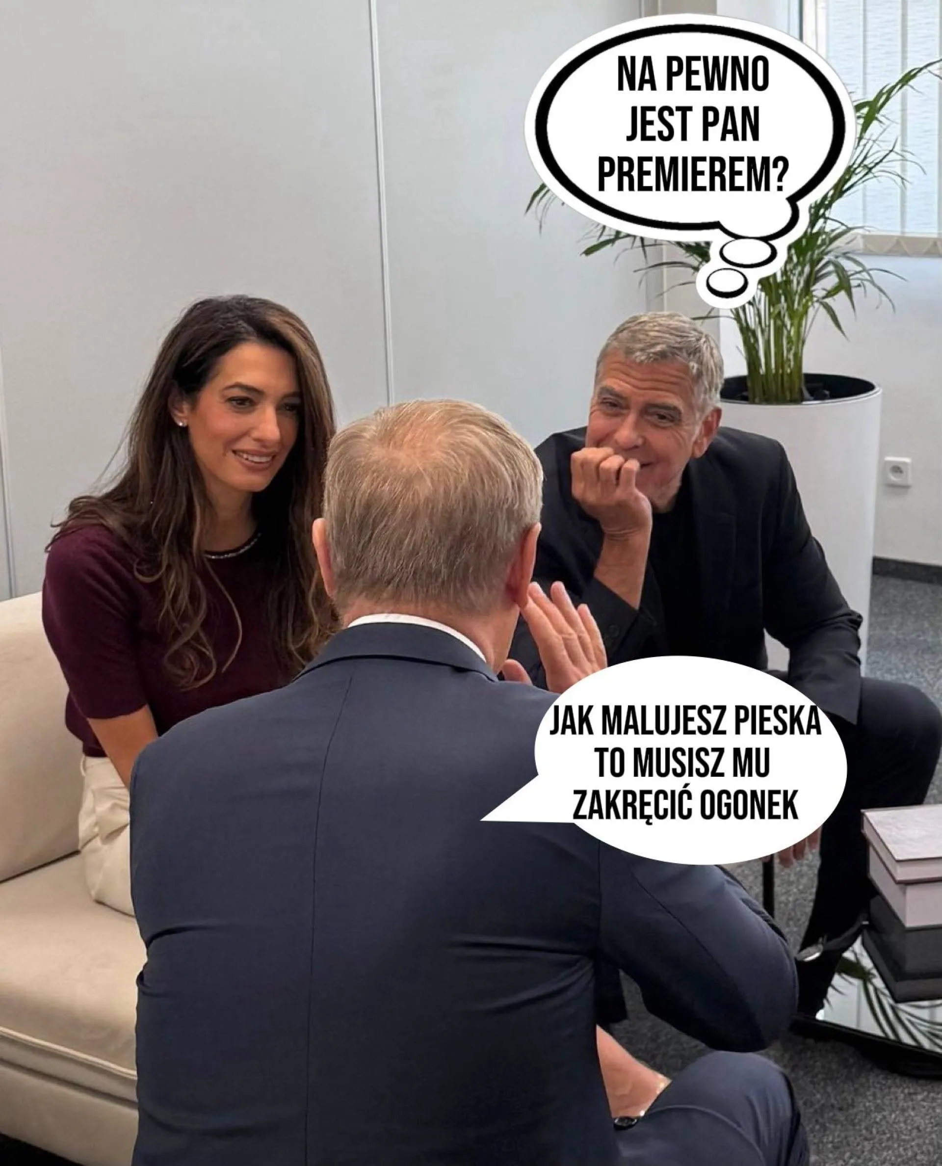 Malowanie pieska