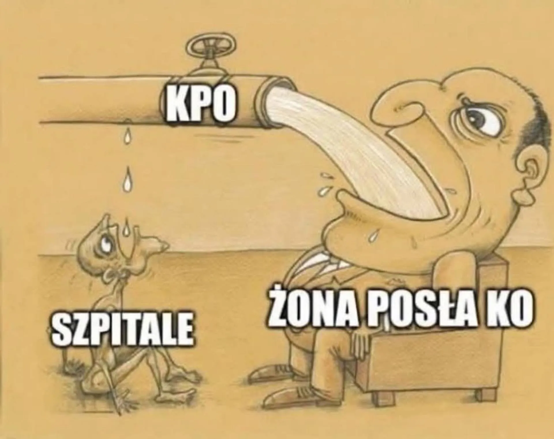 KPO dla żony z KO