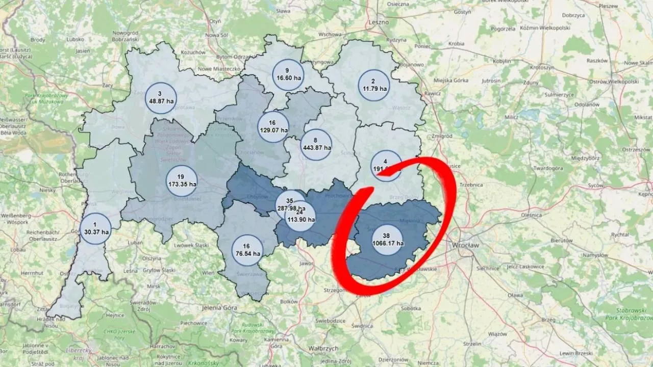 Tajwański gigant ma chrapkę na największą działkę inwestycyjną w Polsce