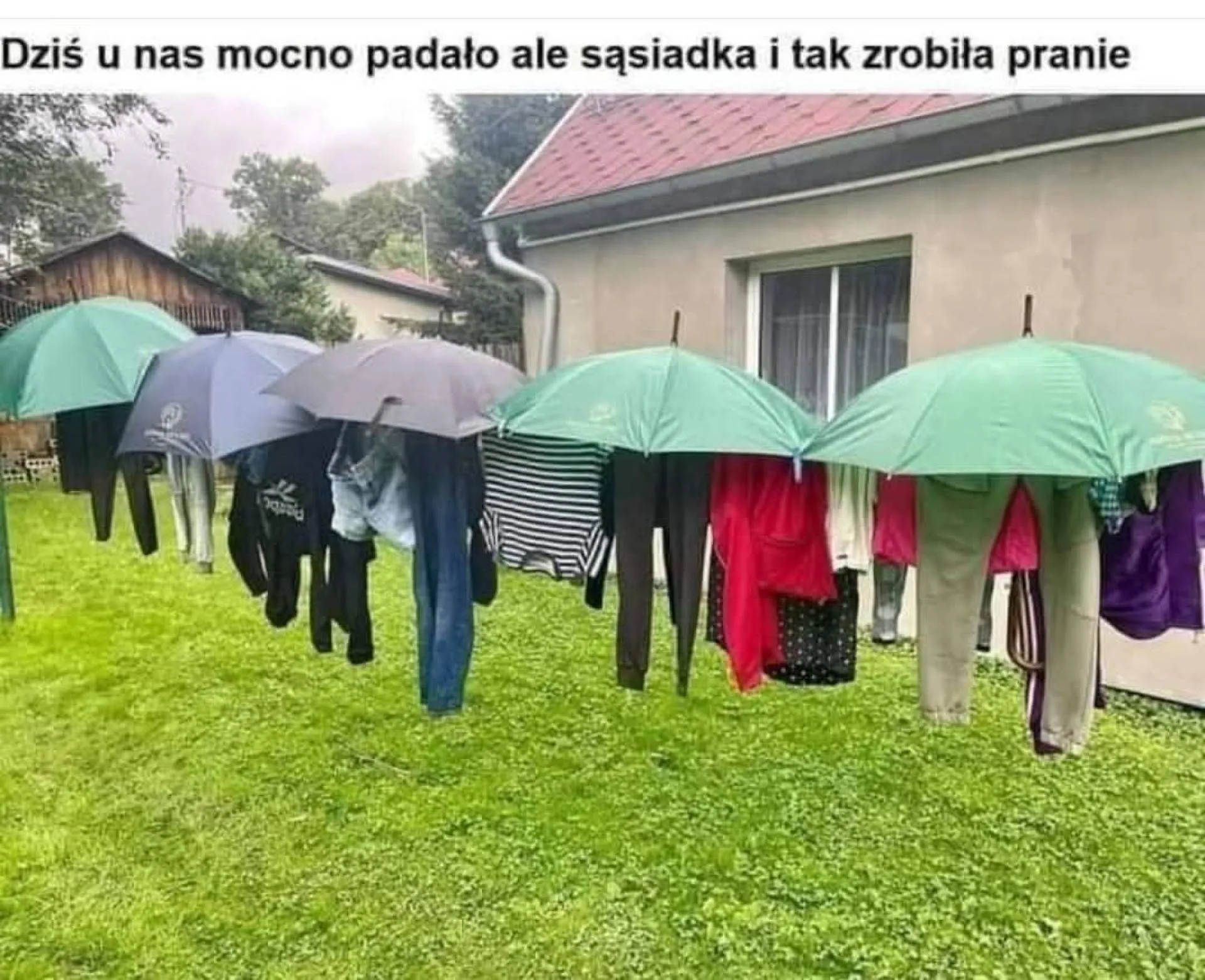 Pranie