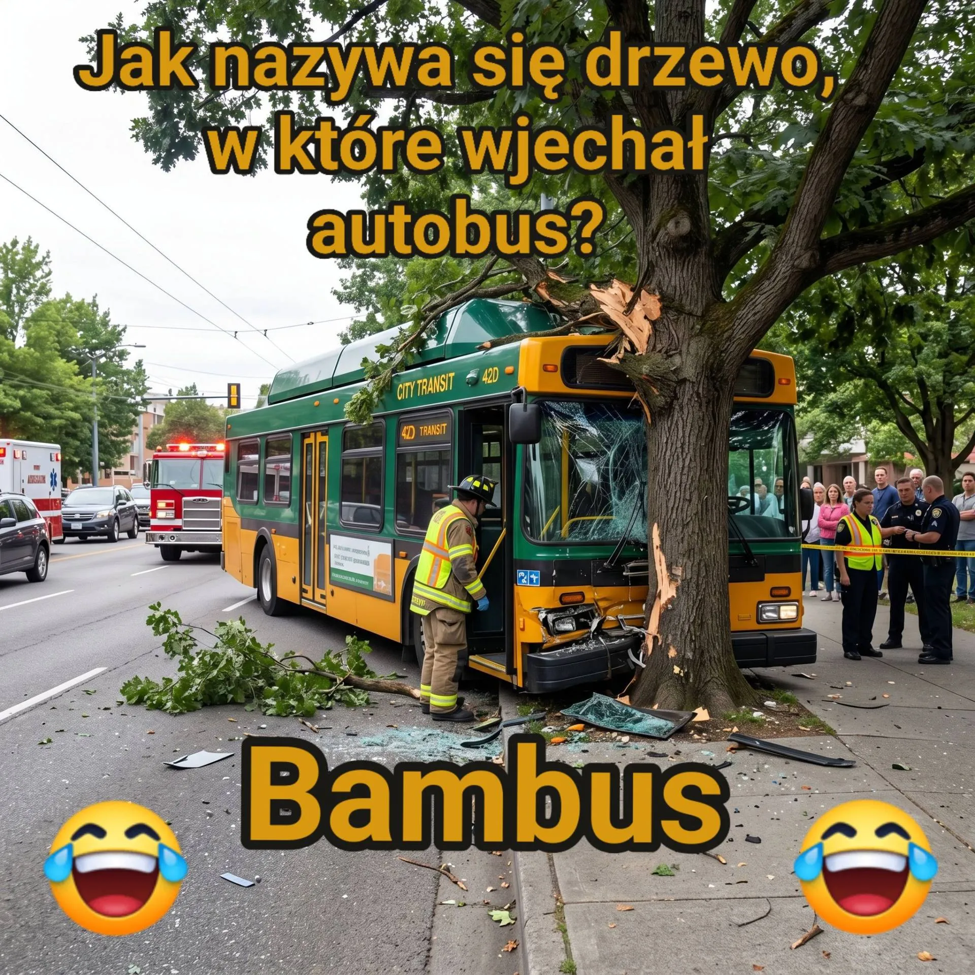 Bam bus