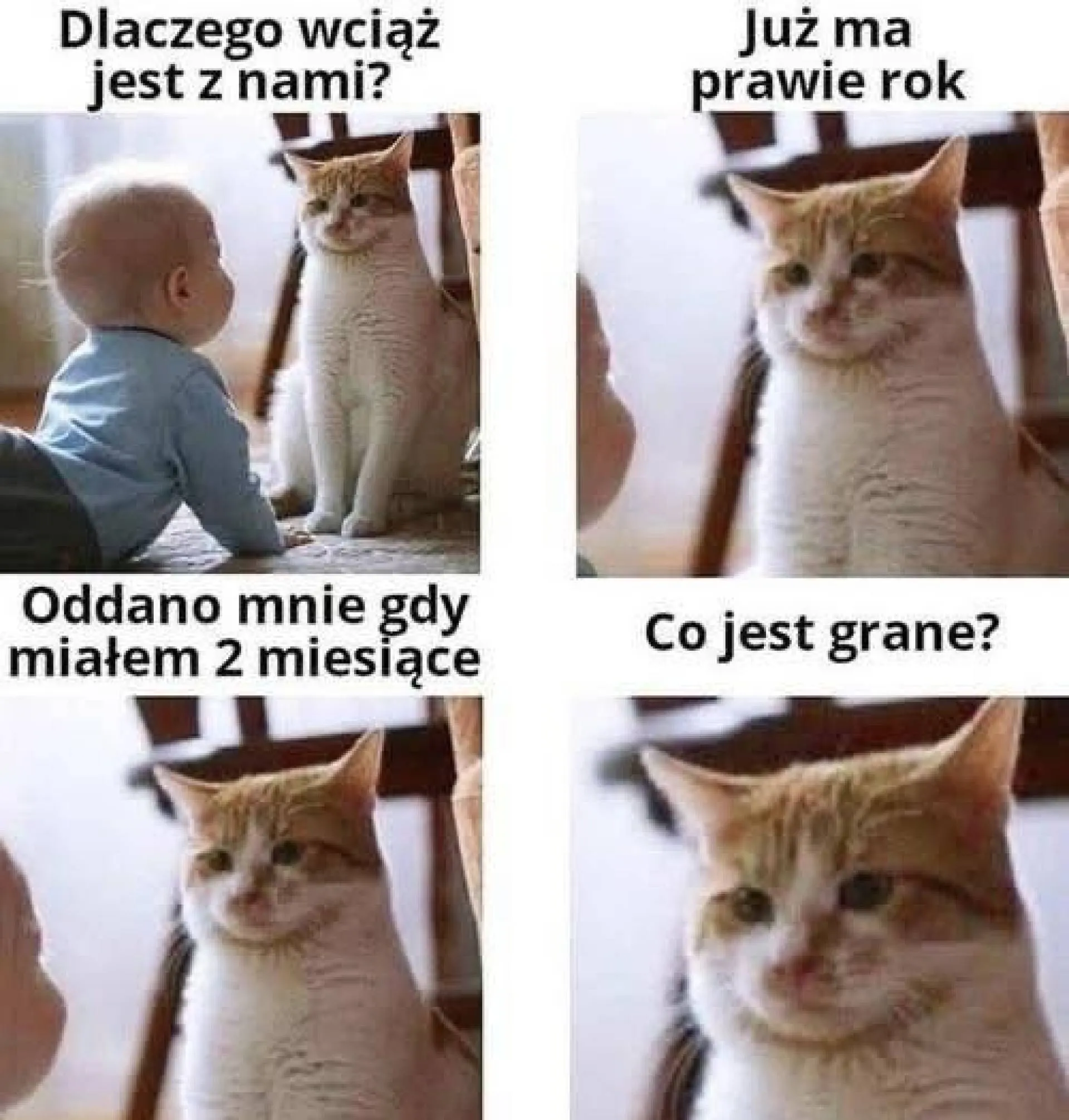 Co jest grane?