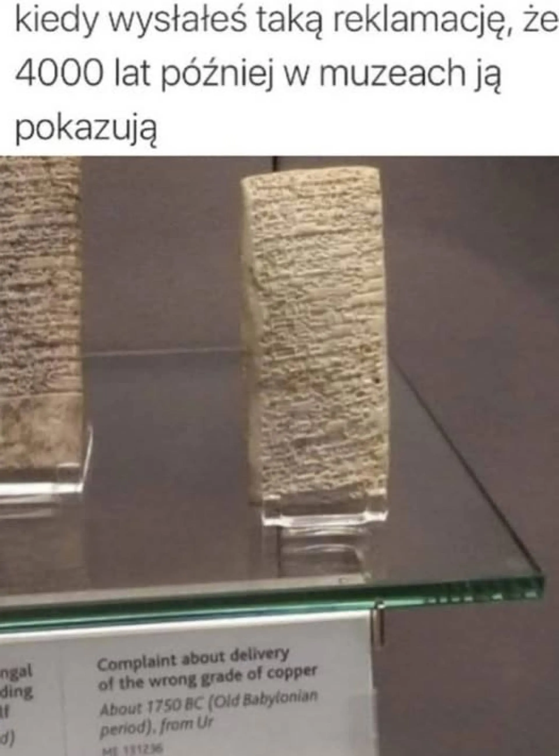 Muzeum
