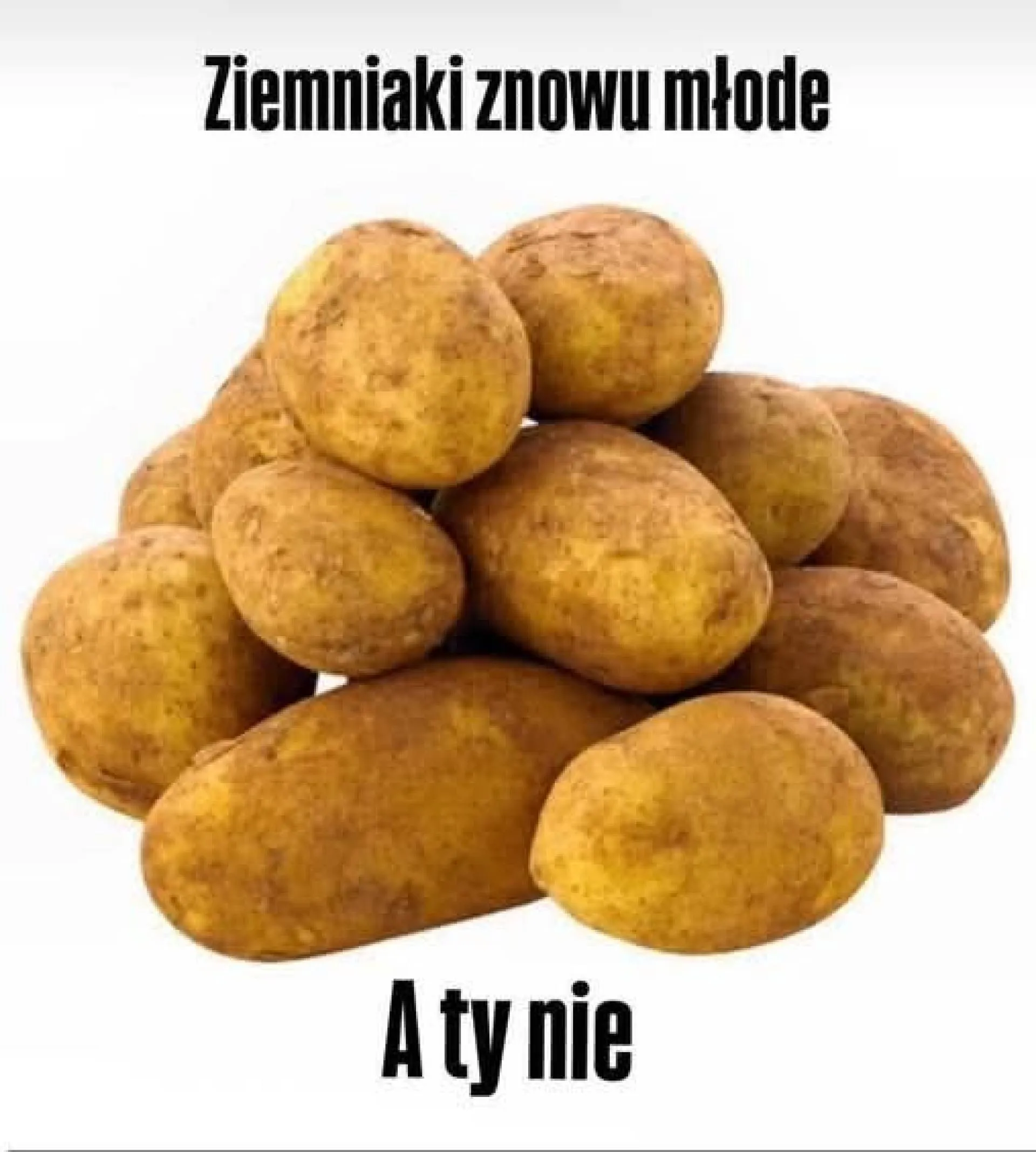 Takie życie