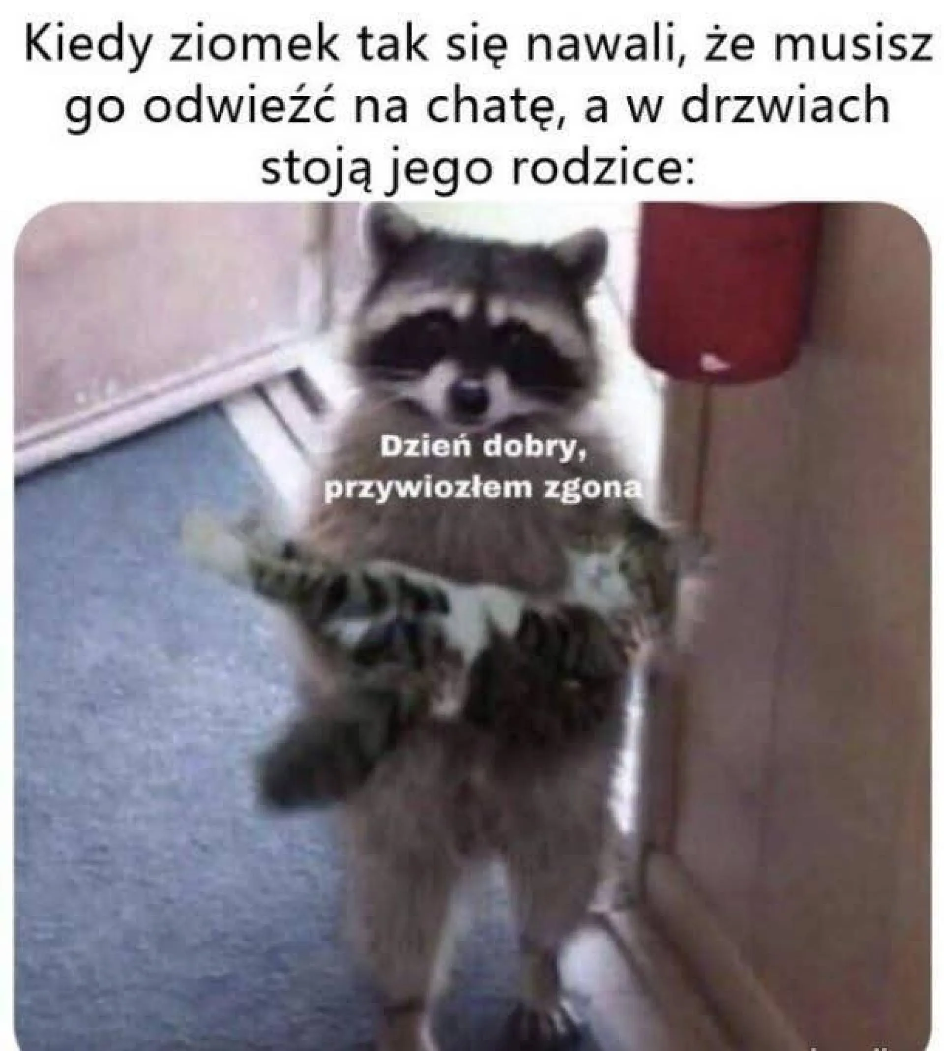 Ups