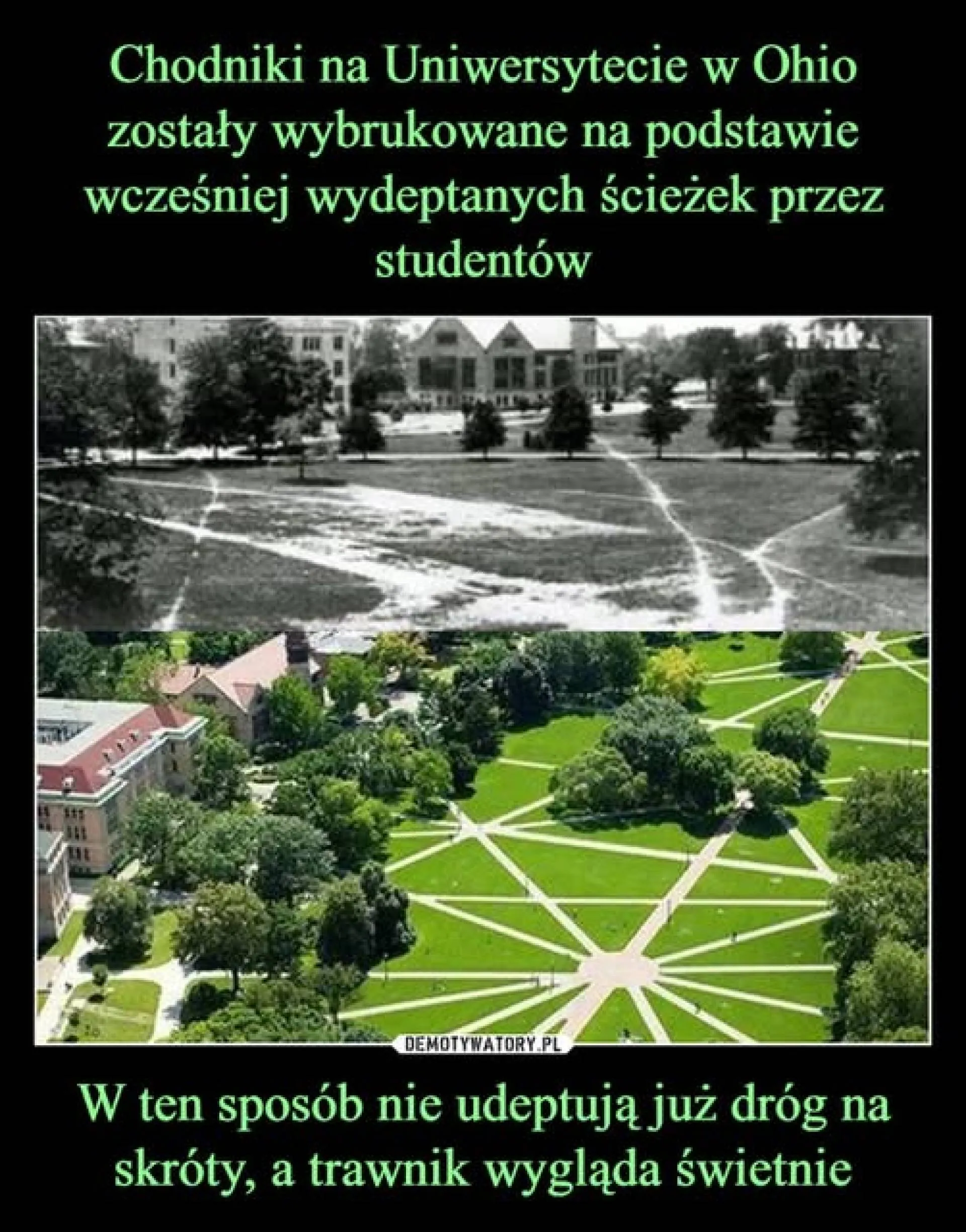 Wygląda nieźle