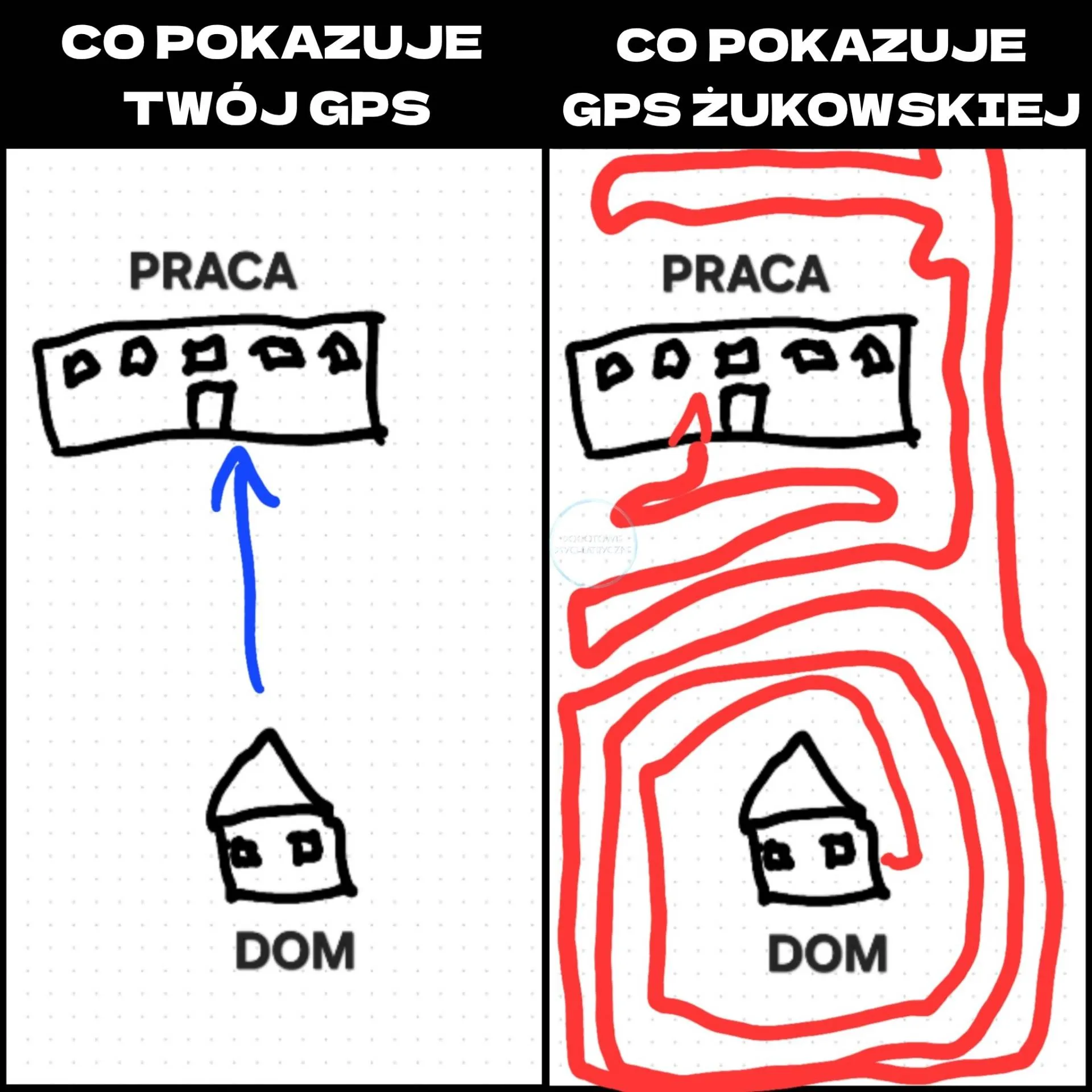 Kilometrówka posłanki