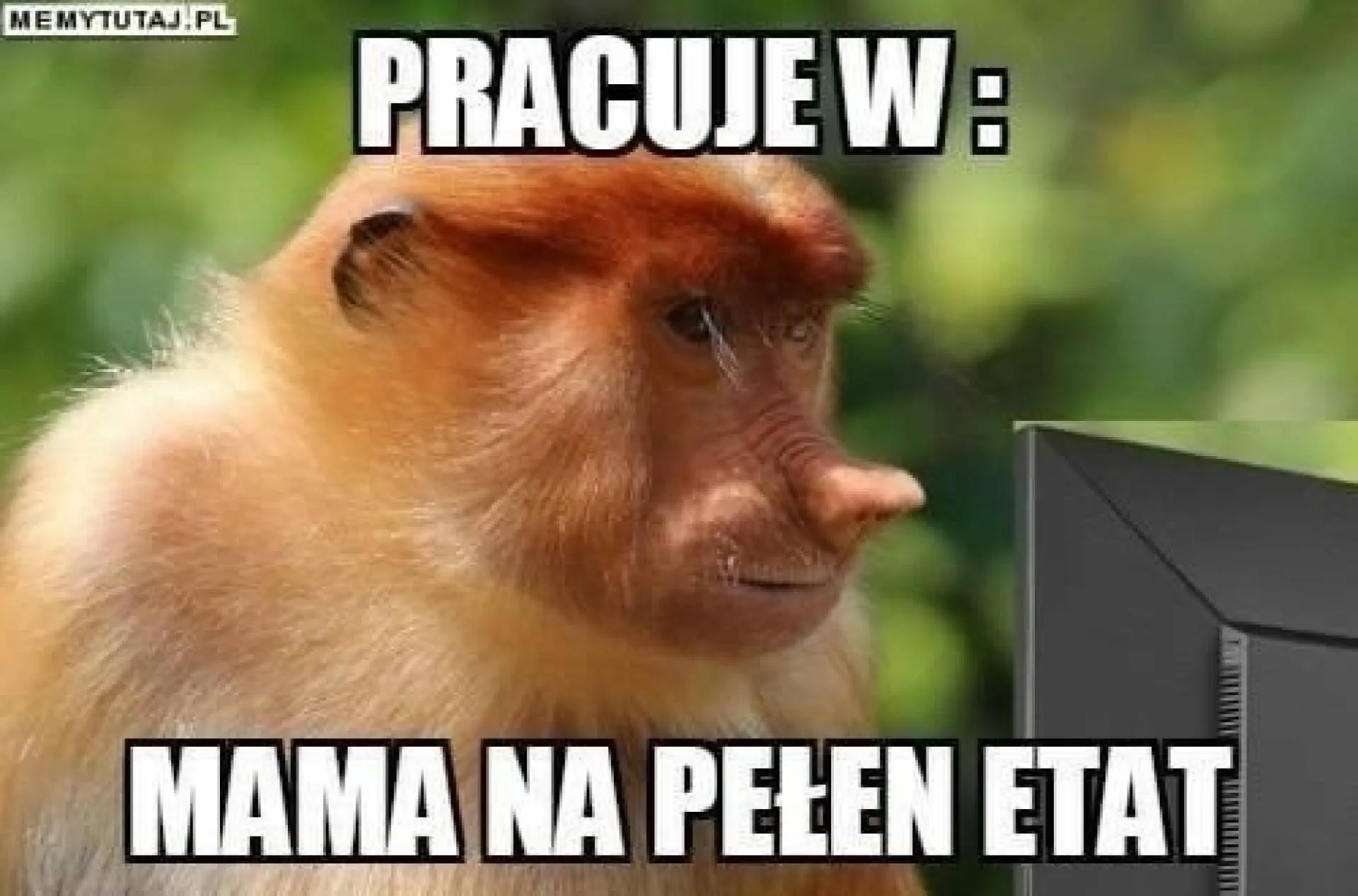 na pełen etat!