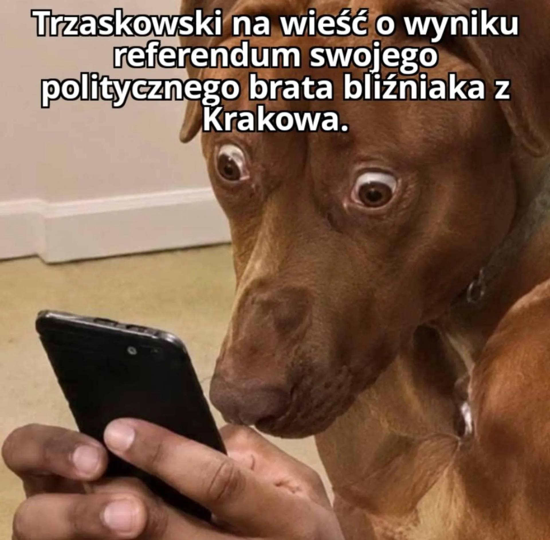 Tymczasem Rafał