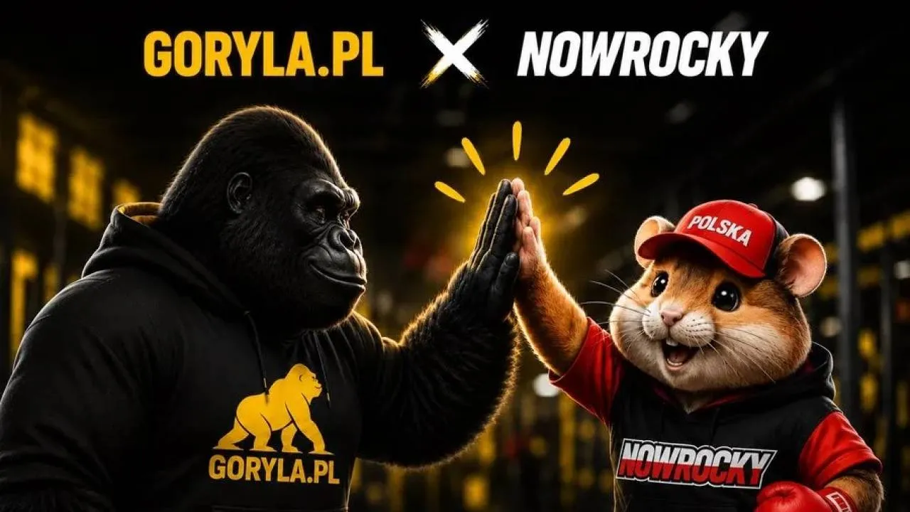 Nowa oferta na Goryla.pl. Do sprzedaży weszły produkty wyjątkowej marki