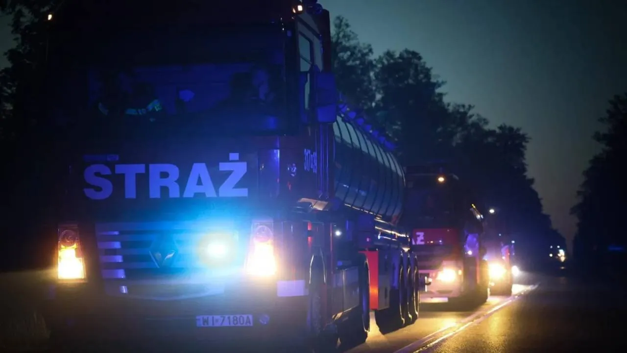 Pożar lasu w Międzylesiu