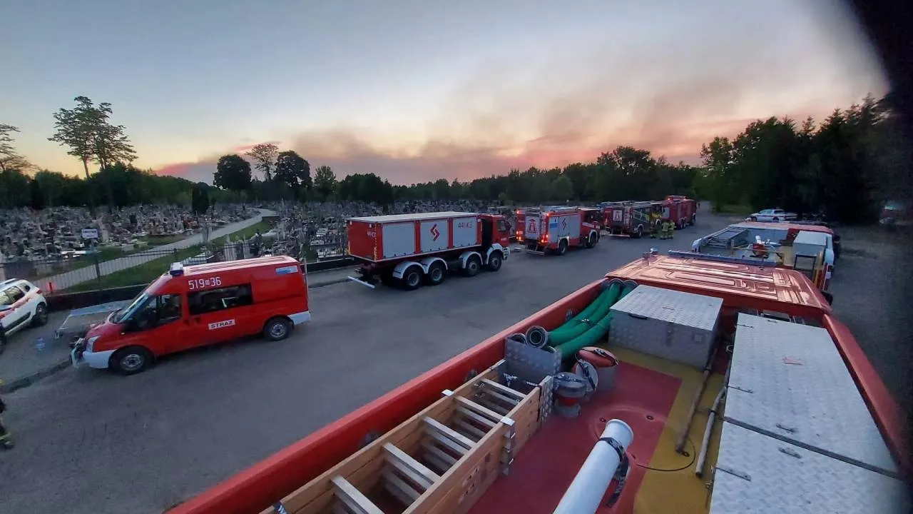 300 hektarów lasu w ogniu. Z żywiołem walczą ogromne siły straży pożarnej i policji [NOWE INFORMACJE]