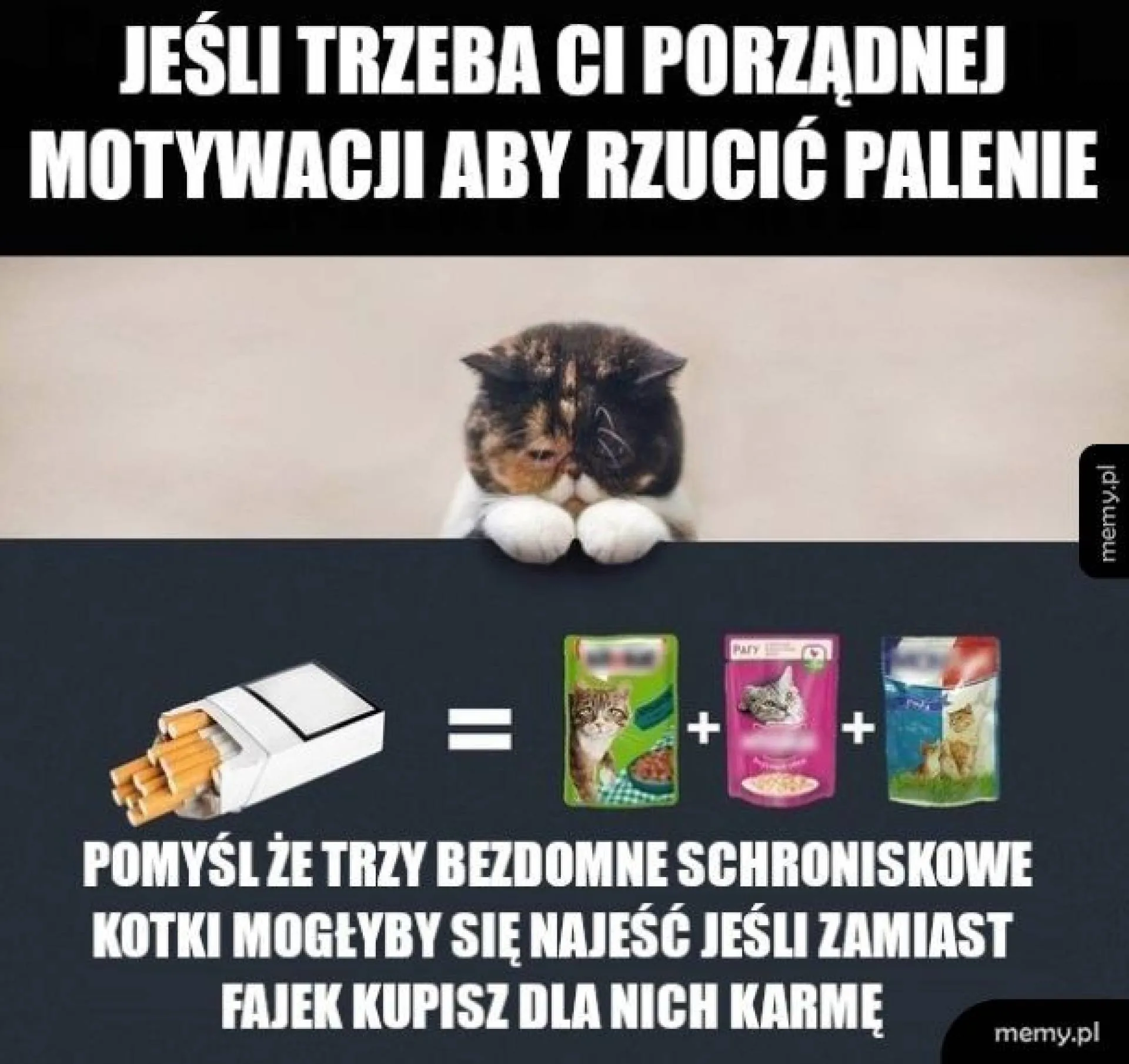 Porządna motywacja
