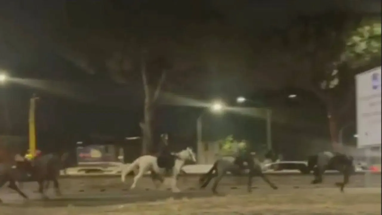 Przez Rzym nocą biegło stado koni. Spłoszone zwierzęta wywołały zamieszanie w mieście WIDEO