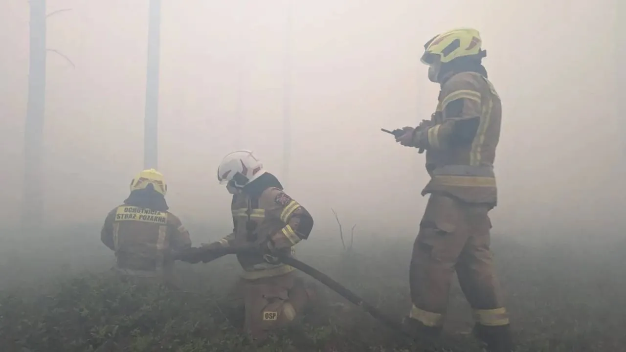 Ponad 1,5 tys. osób gasi pożar na Mazowszu. Pogorzelisko pod ścisłą kontrolą służb. [ZDJĘCIA, WIDEO]