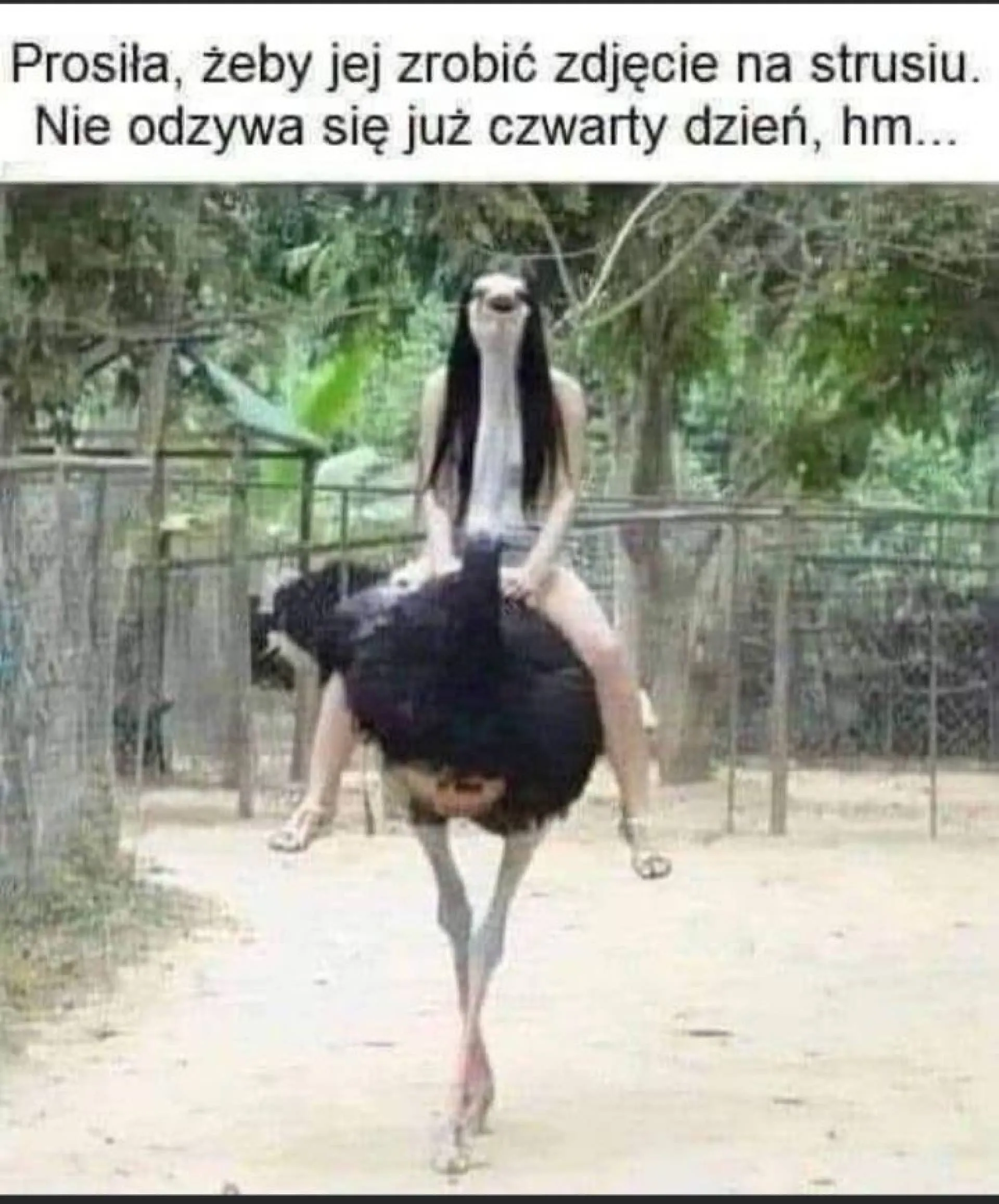 Kadr idealny