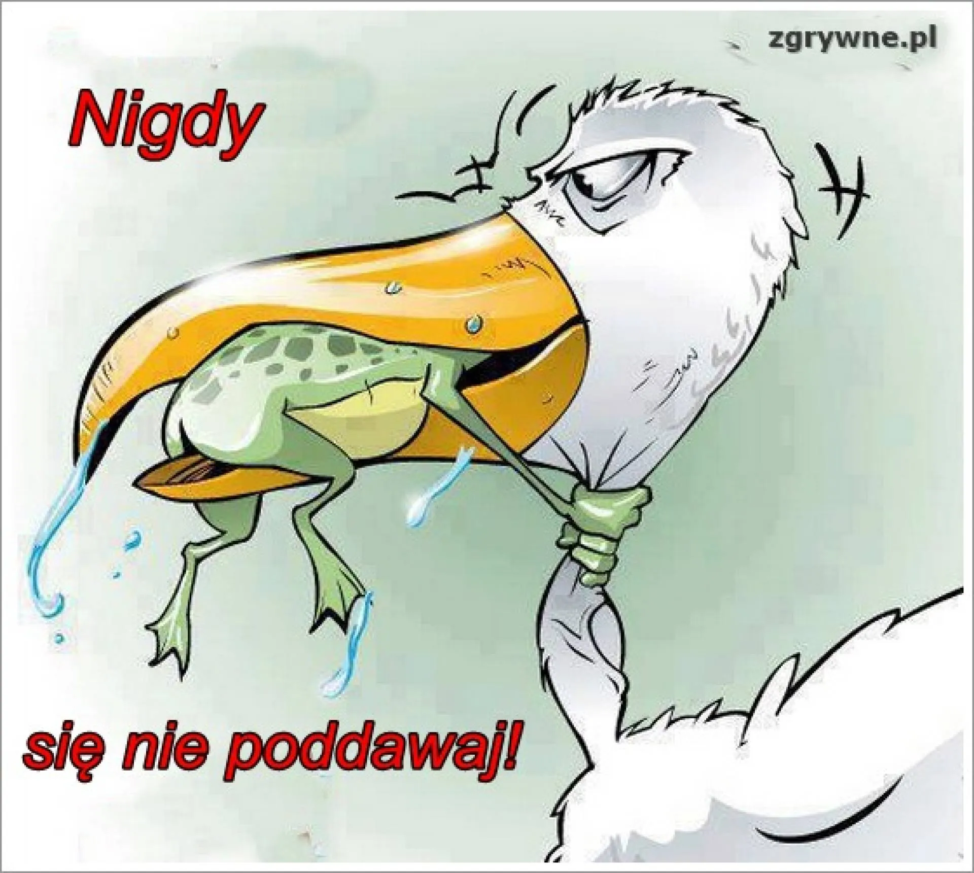 Walcz