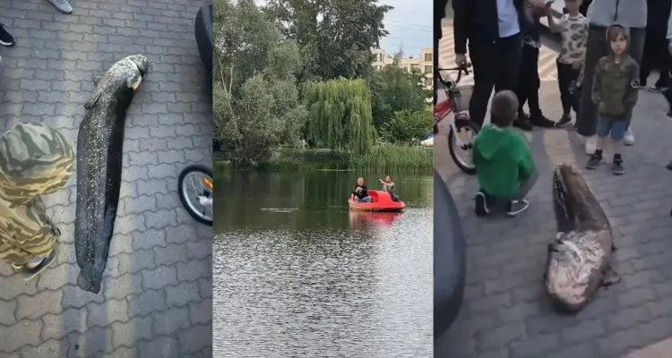 Wyłowili legendarną rybę z warszawskiego jeziora. Policja zatrzymała podejrzanego [WIDEO]