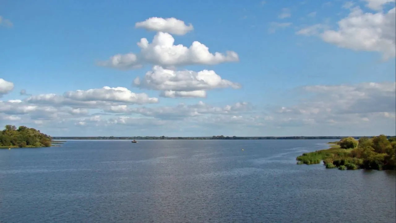 Śnięte ryby w Odrze. Są wyniki badań wody