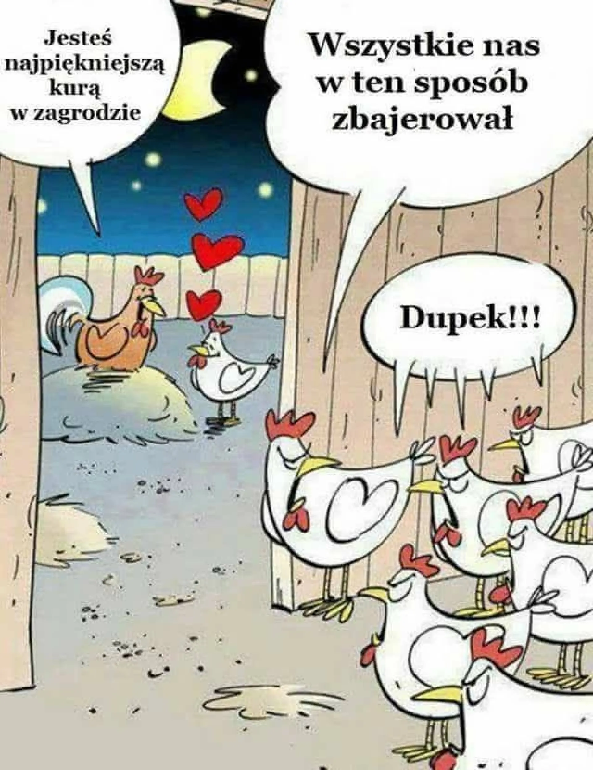 Kogut