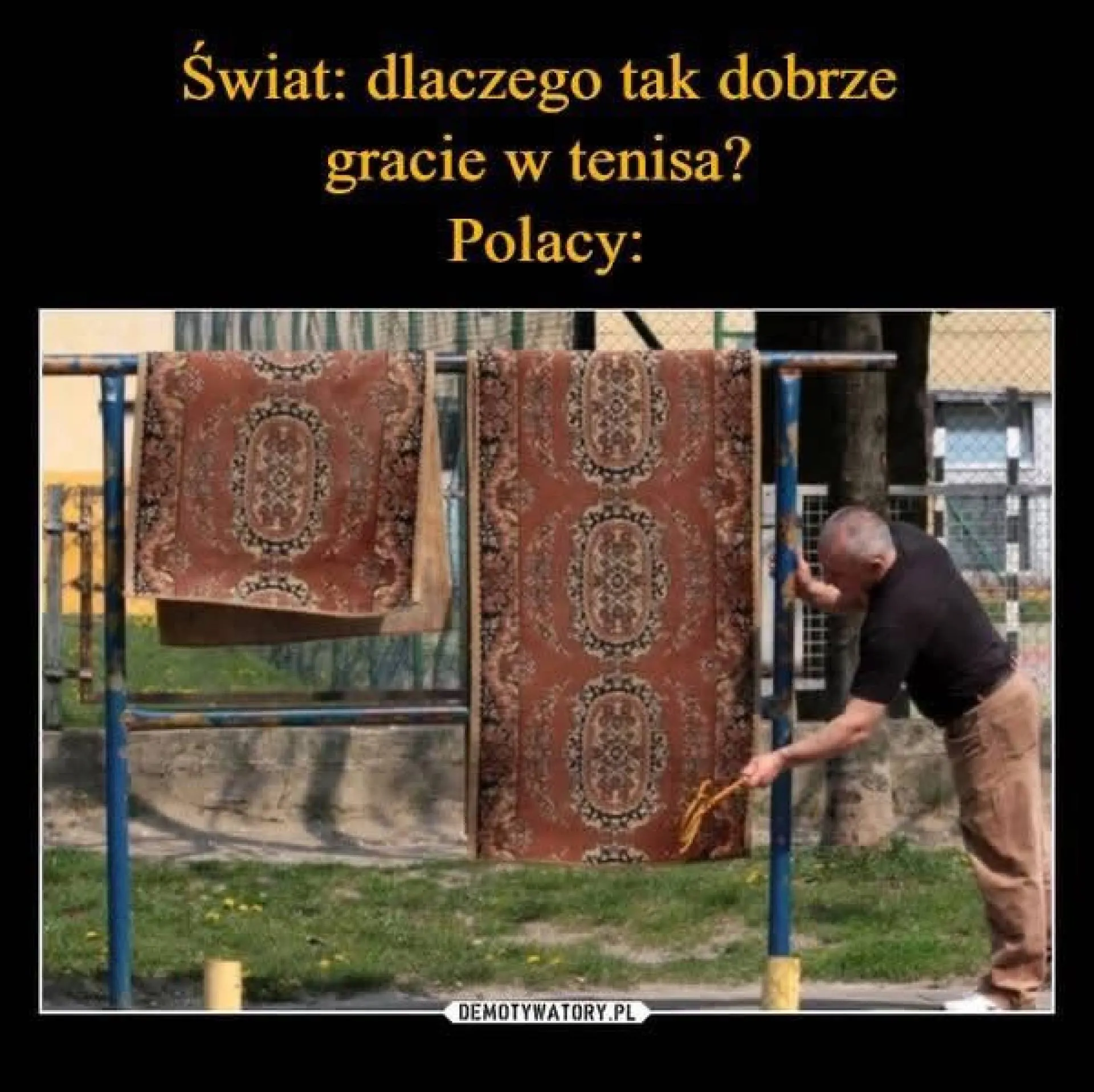 Sport narodowy