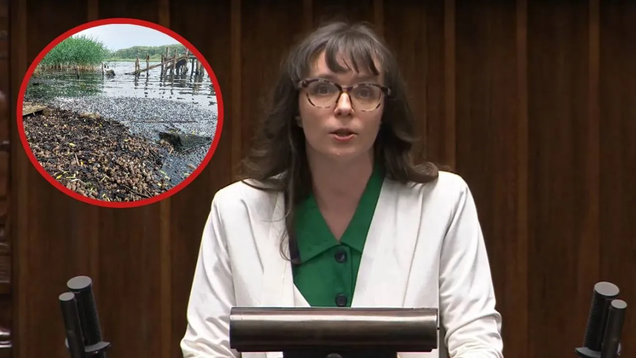 Śnięte ryby w Odrze, a Jachira twierdzi, że nic o tym nie wie. W 2022 r. grzmiała o "katastrofie ekologicznej"