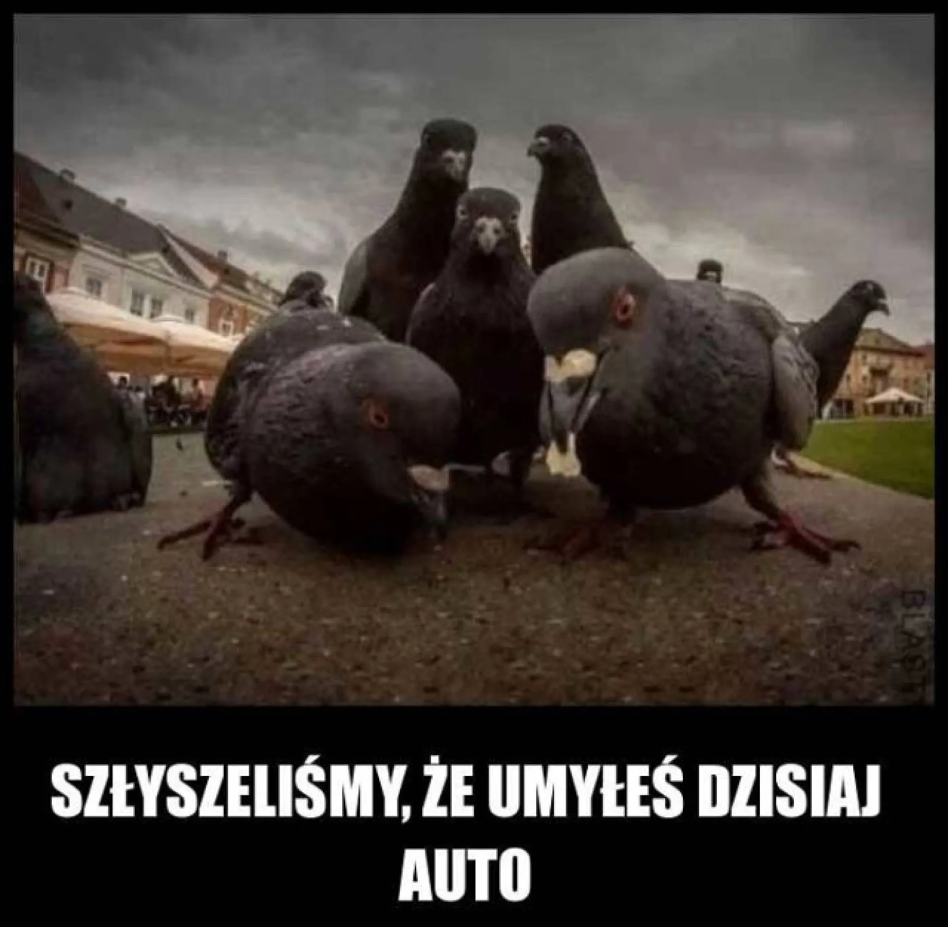 Po wizycie na myjni