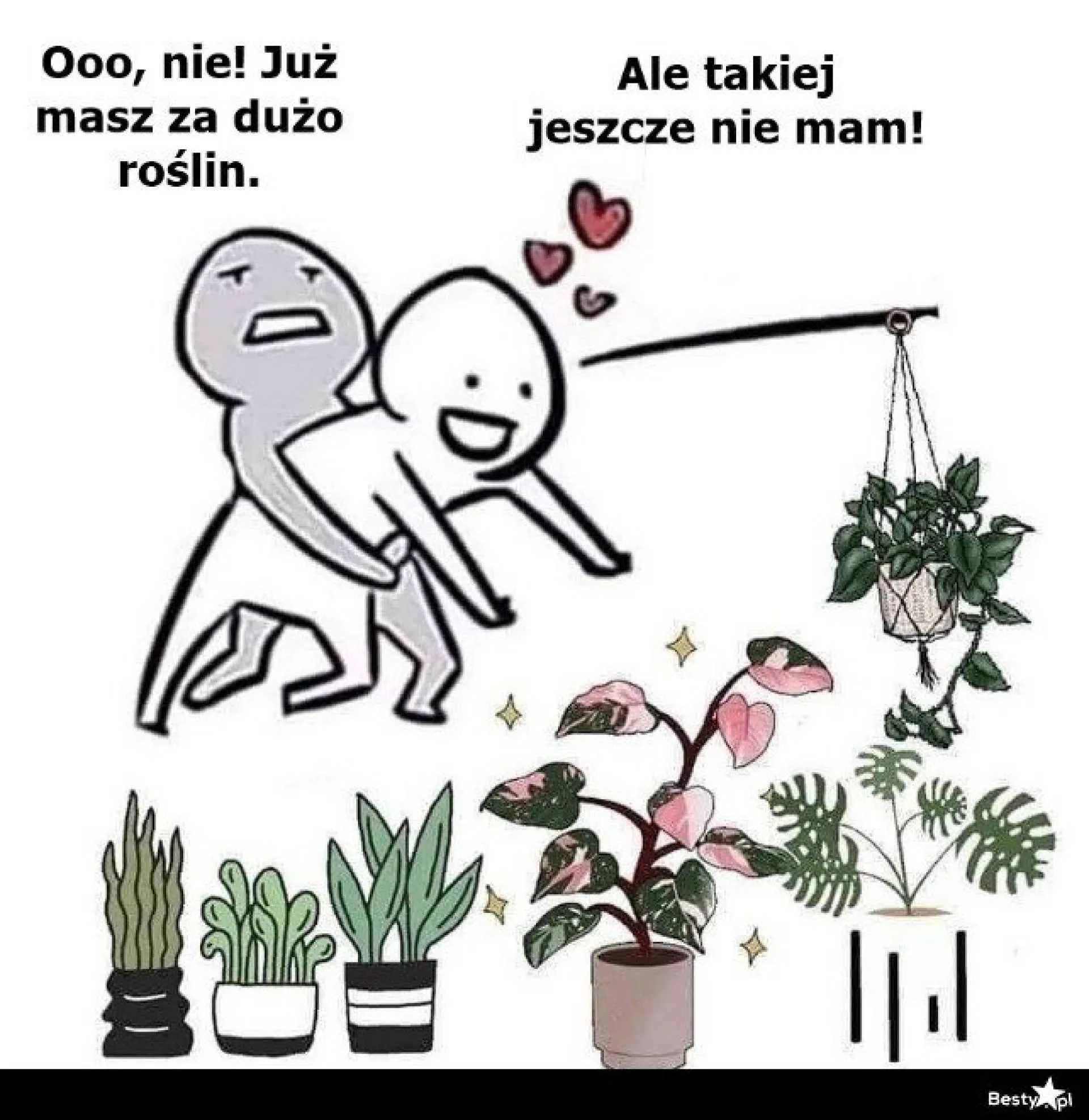 Jeśli lubisz kwiaty