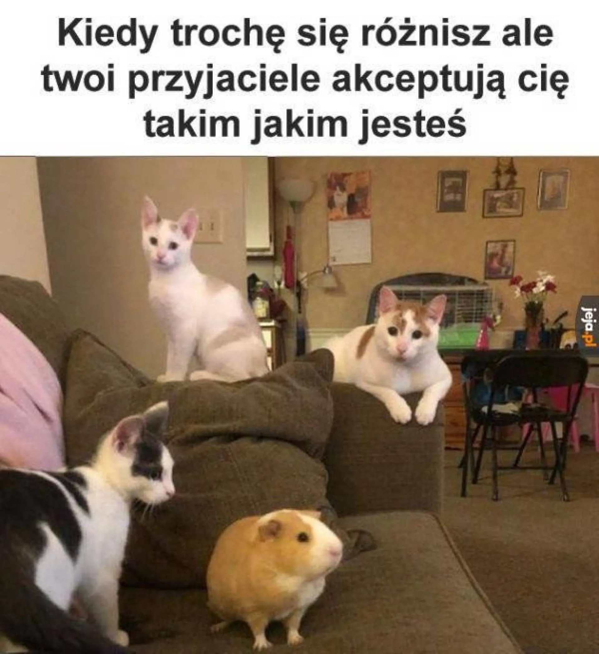 Akceptacja