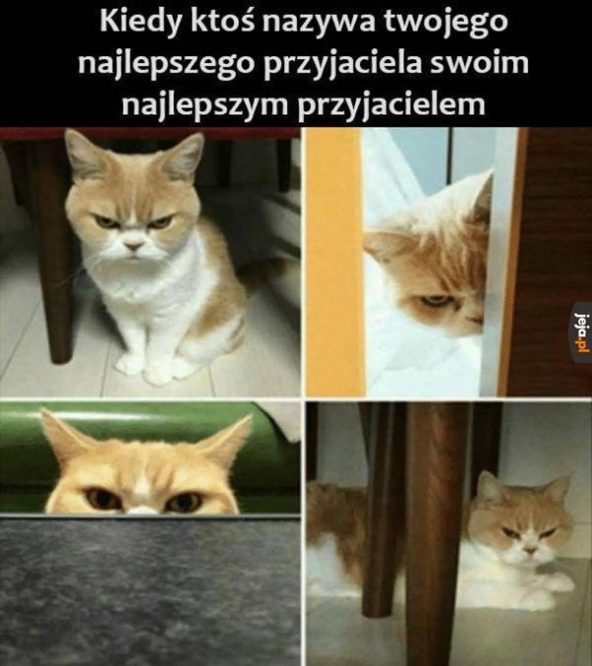To uczucie