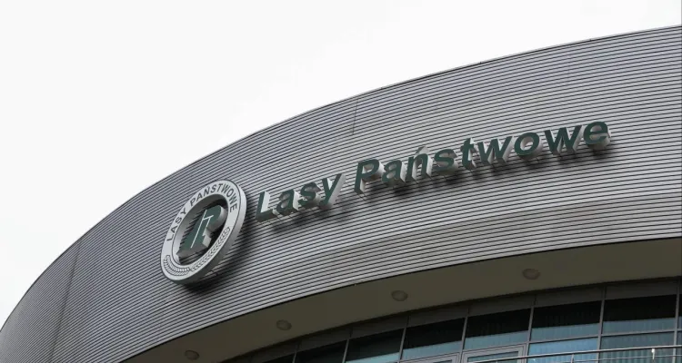 Ponowne uderzenie w Lasy Państwowe. Rząd chce nało
