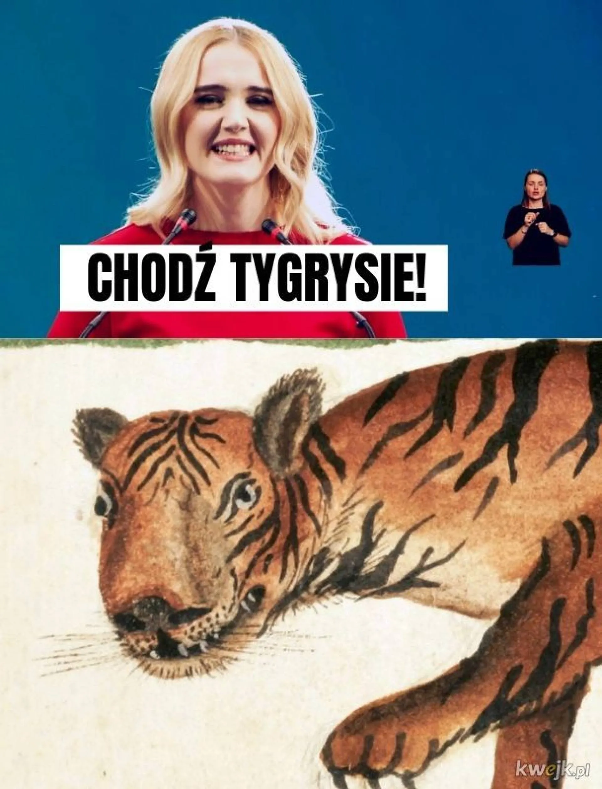 Tygrysie