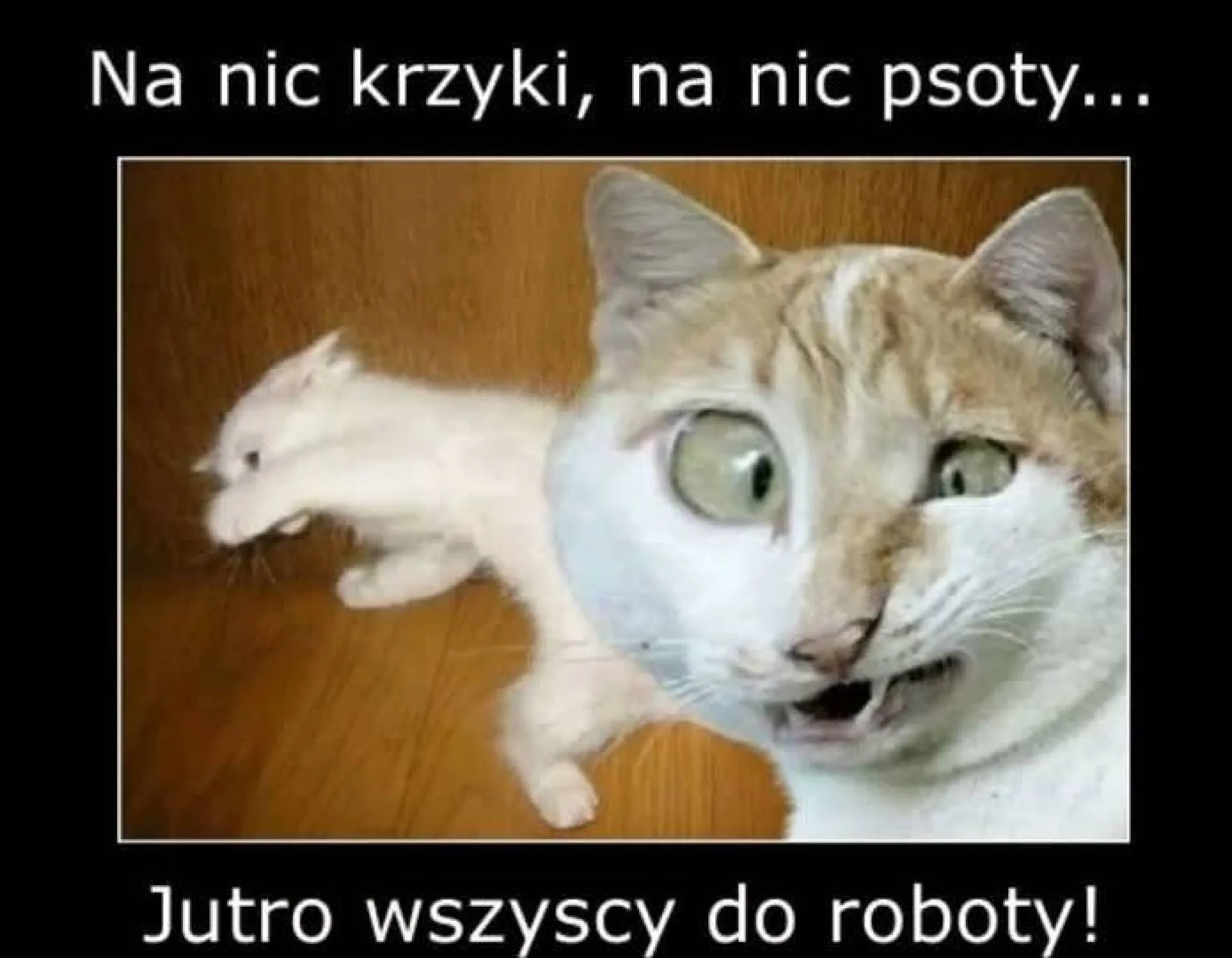 Nie ma zmiłuj