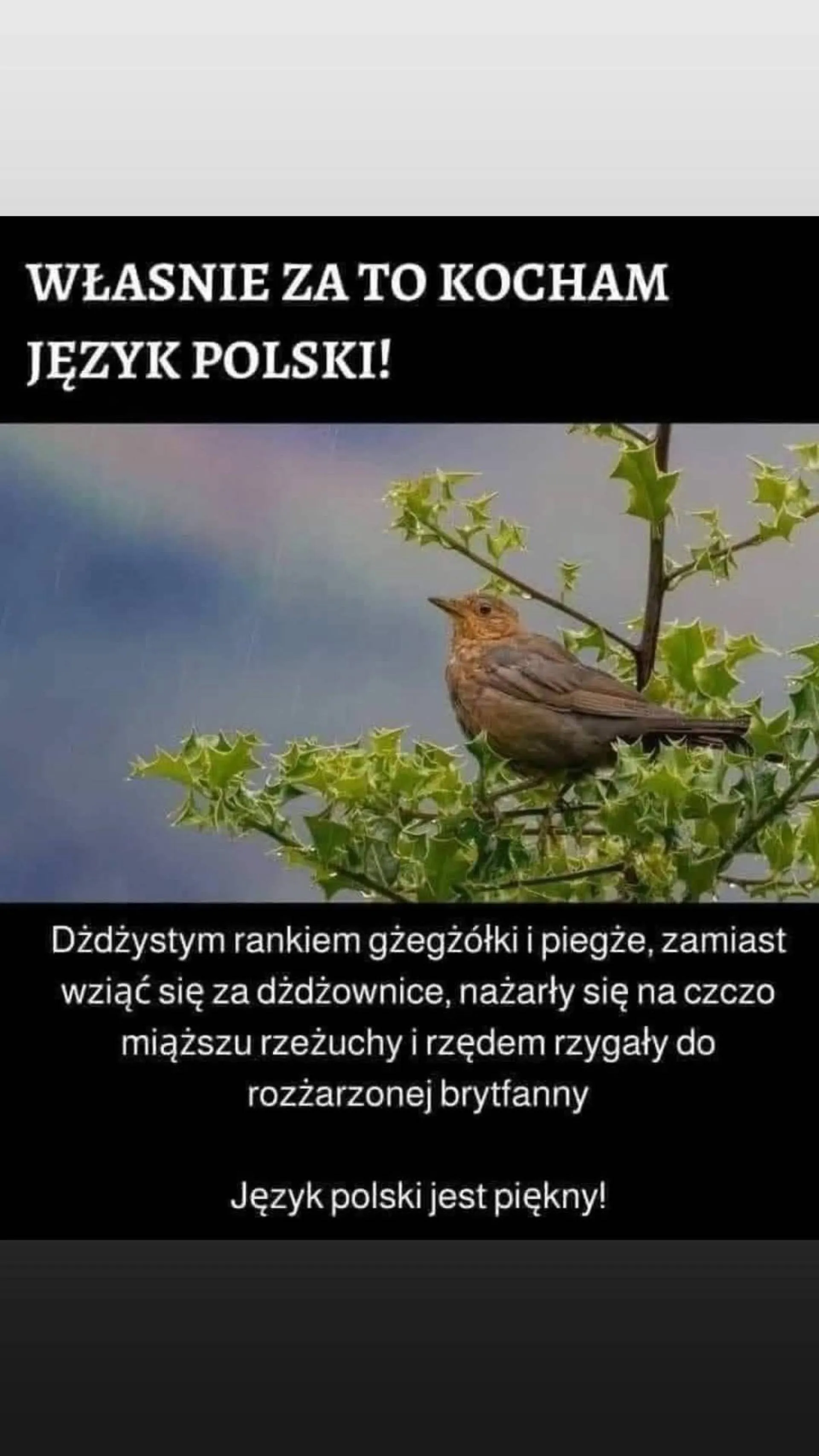 Piękny język!