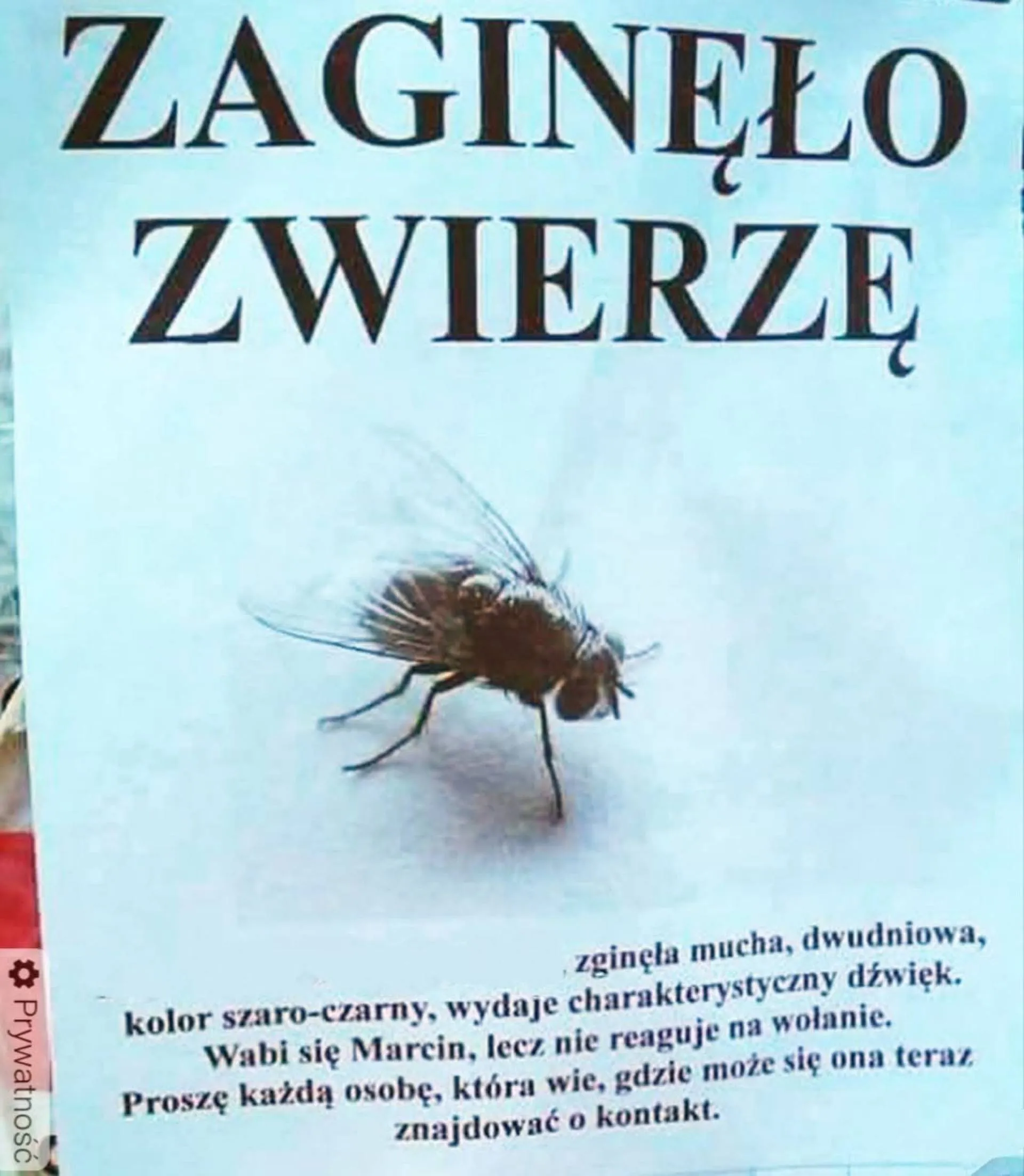 Prośba o kontakt