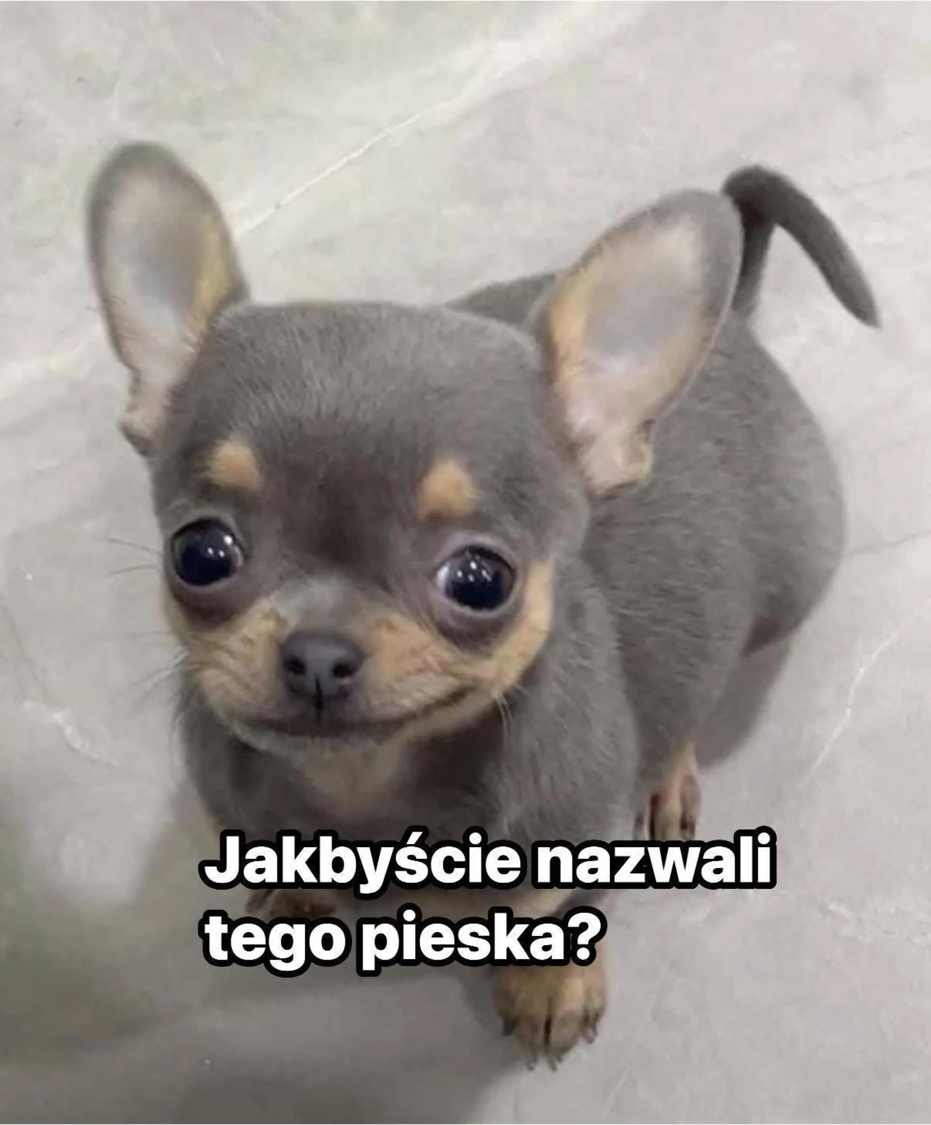 Pomysły?