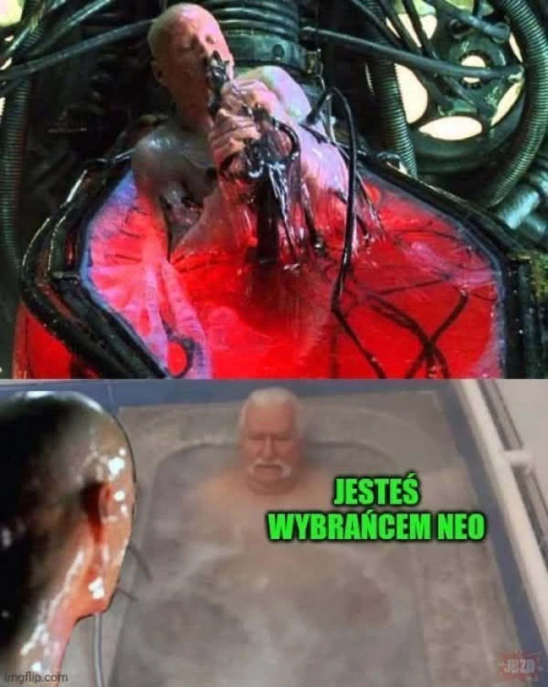 Wybraniec