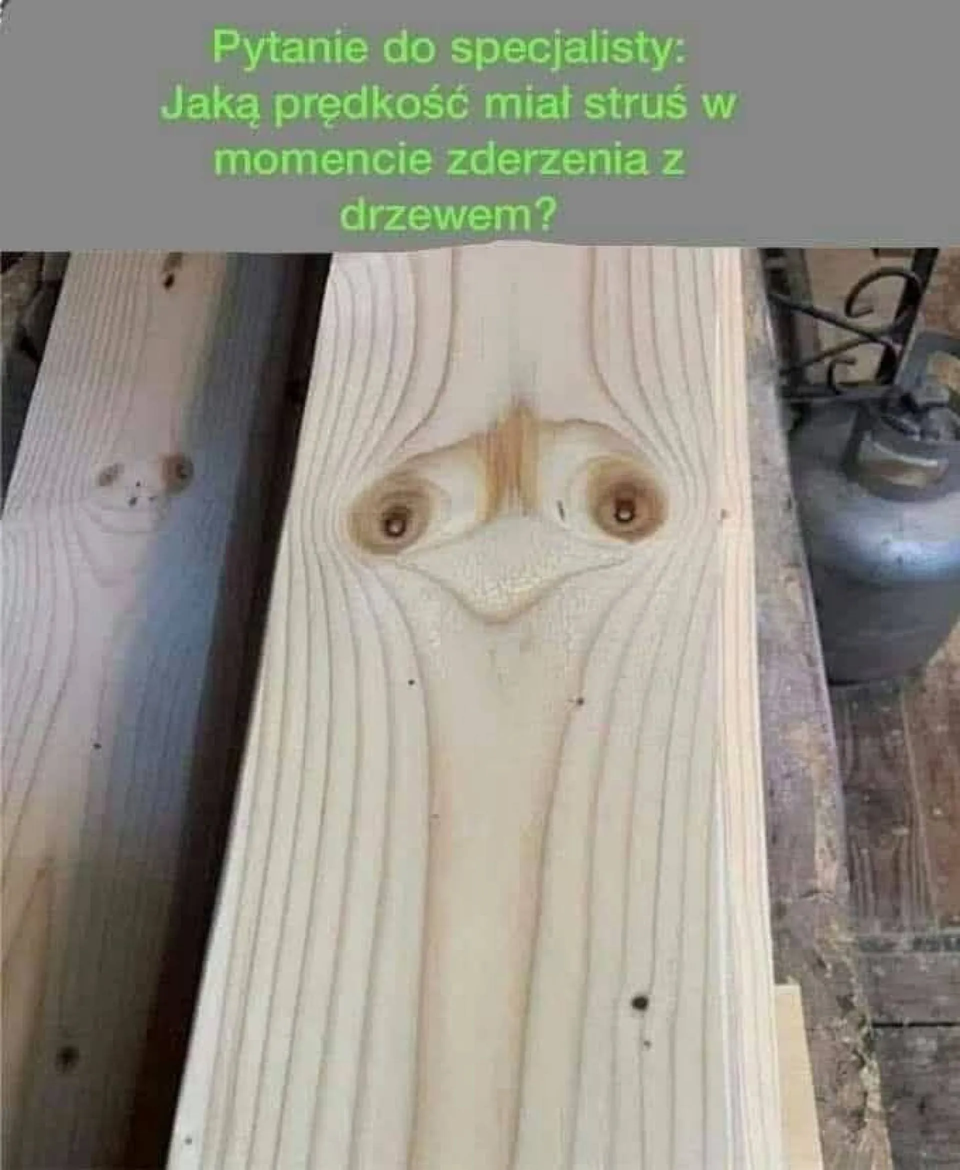 Struś