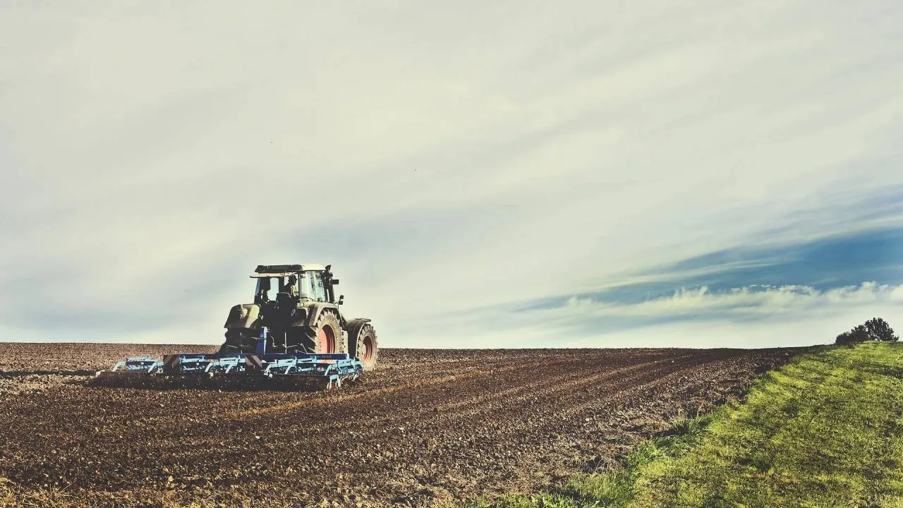 Firmy z tej branży mają poważne kłopoty. Zadłużenie rośnie. A jeszcze Mercosur
