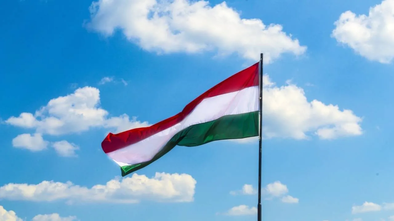 Nowy prezydent Węgier? Magyar wskazał termin