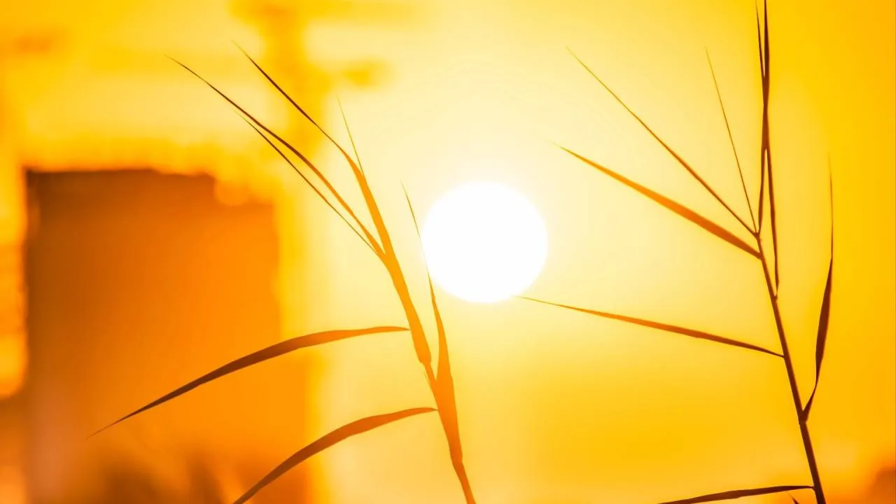 Tak gorąco nie było od przeszło 120 lat. Padł polski rekord temperatury