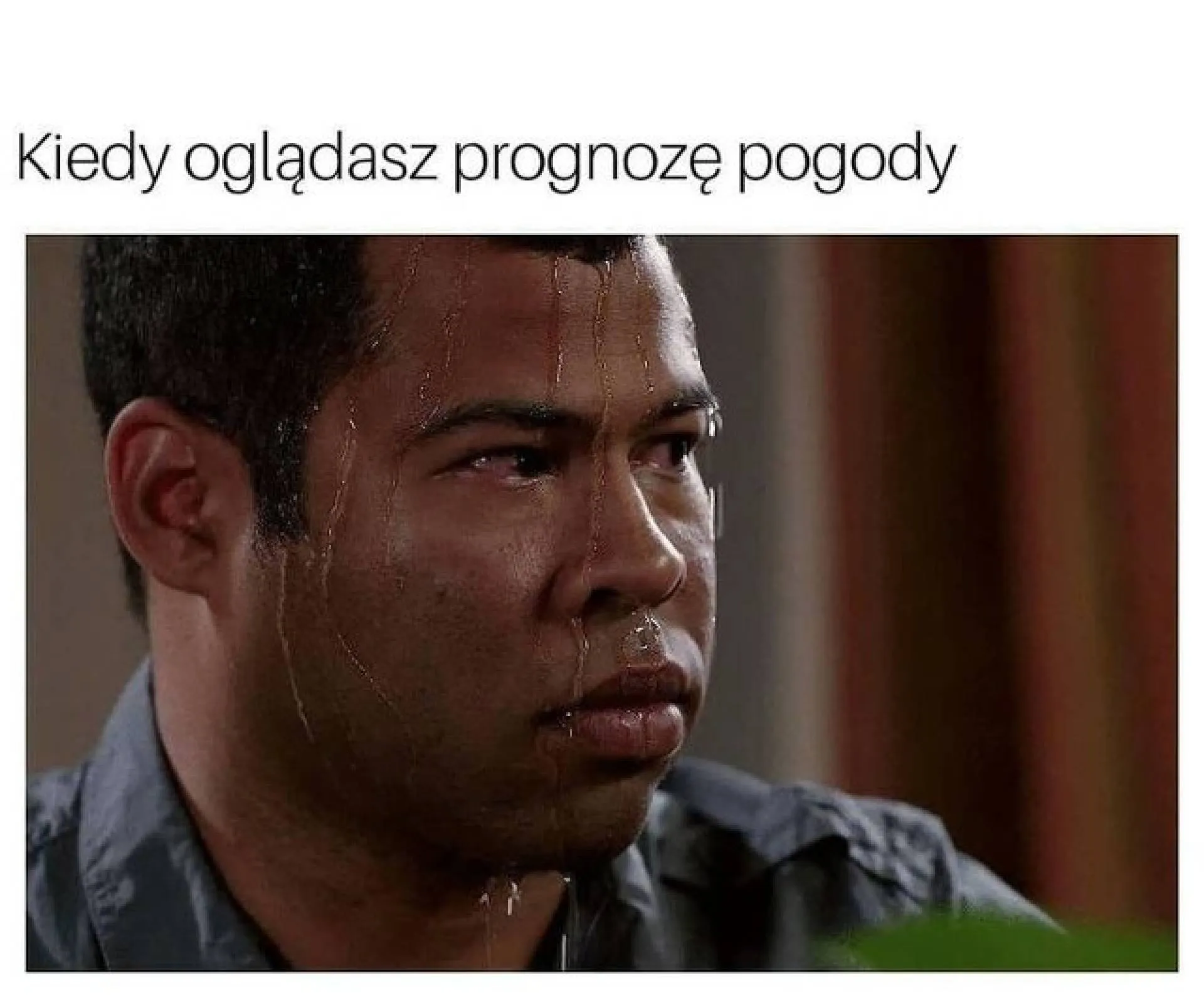 Prognoza
