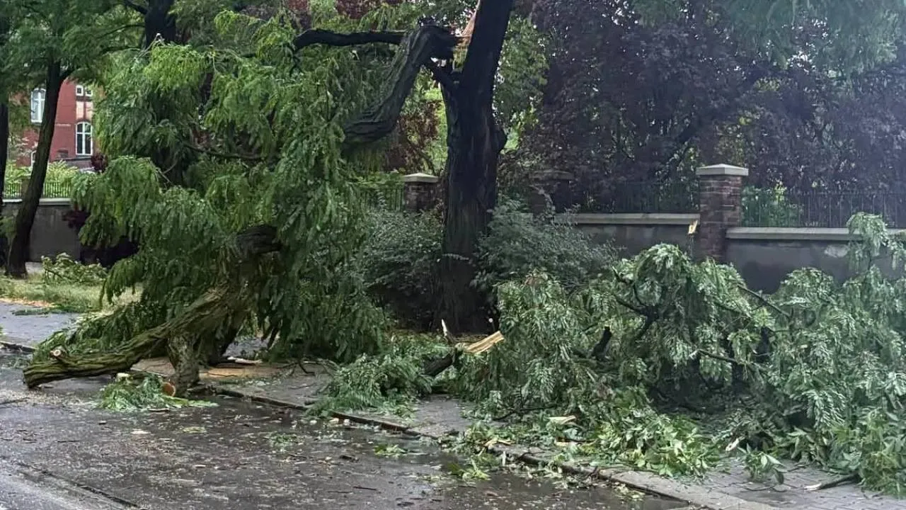 Powalone drzewa, zalane ulice i zerwane dachy. Tysiące interwencji strażaków po burzach