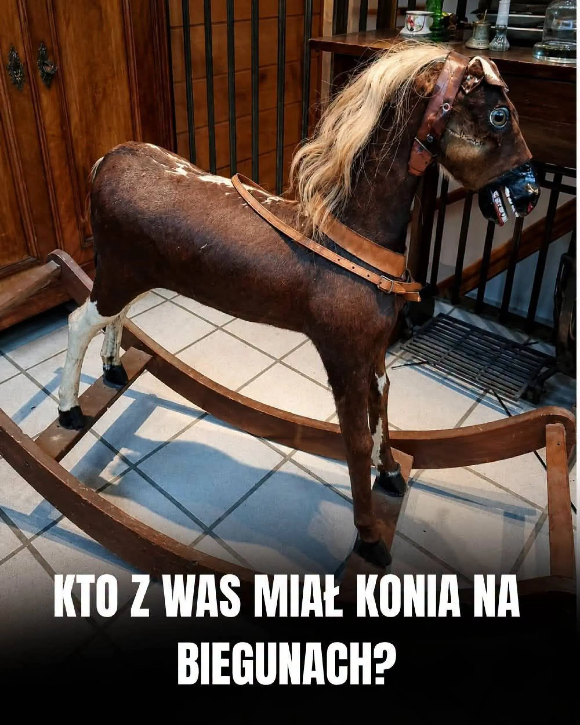 Konik na biegunach