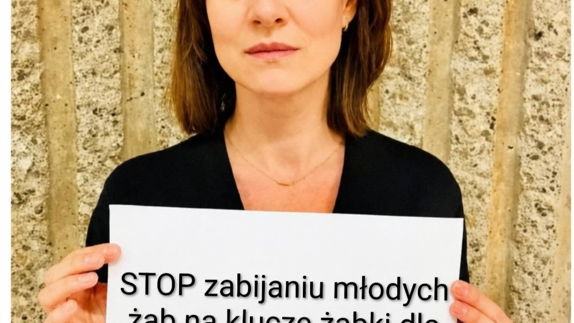 Żabki